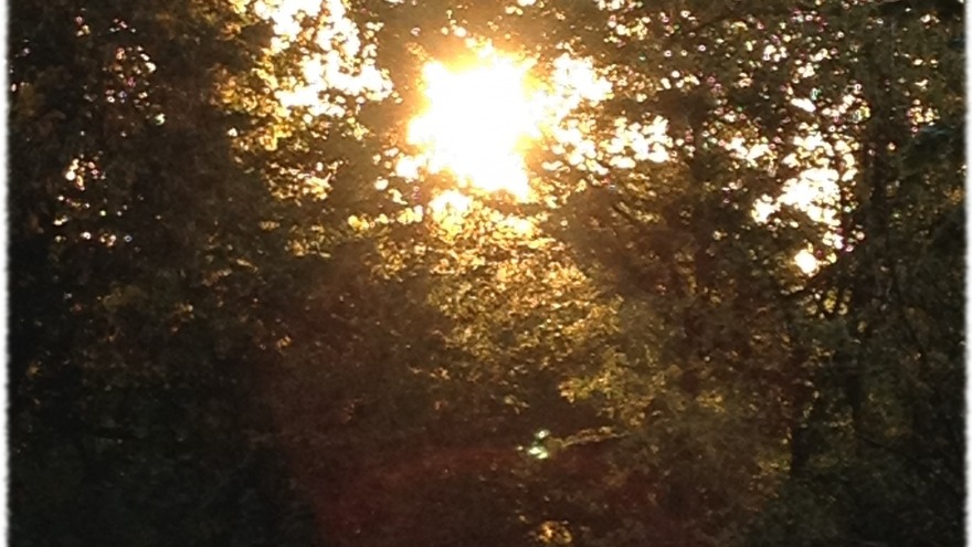 Goldener Oktober